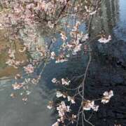 ヒメ日記 2026/03/30 08:30 投稿 きょうか 熟女の風俗最終章 蒲田店