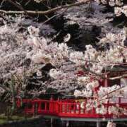 ヒメ日記 2026/04/02 18:29 投稿 きょうか 熟女の風俗最終章 蒲田店