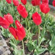 ヒメ日記 2025/05/07 12:41 投稿 (スタン)黒木えみ/地元出身 風俗イキタイいわき店