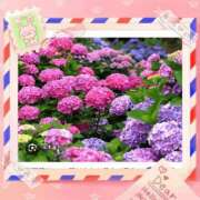 ヒメ日記 2025/06/27 12:21 投稿 (スタン)黒木えみ/地元出身 風俗イキタイいわき店