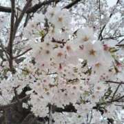 ヒメ日記 2026/04/06 12:20 投稿 (スタン)黒木えみ/地元出身 風俗イキタイいわき店