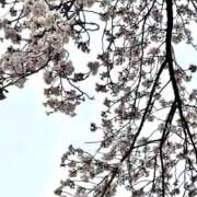 ほたる 心に残る... One More奥様 大宮店