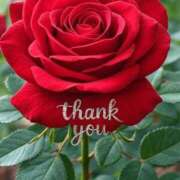 ヒメ日記 2025/08/11 17:00 投稿 はづき ニューヨークニューヨーク