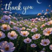 ヒメ日記 2026/03/08 17:00 投稿 はづき ニューヨークニューヨーク