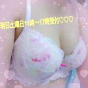 ヒメ日記 2025/10/17 20:44 投稿 つむぎ ビジョルナ（bijouluna）