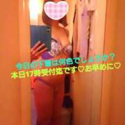 ヒメ日記 2026/01/24 10:32 投稿 つむぎ ビジョルナ（bijouluna）