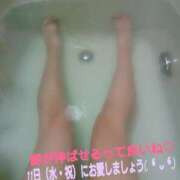 ヒメ日記 2026/02/08 19:56 投稿 つむぎ ビジョルナ（bijouluna）