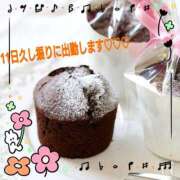 ヒメ日記 2026/02/09 19:14 投稿 つむぎ ビジョルナ（bijouluna）