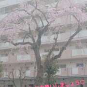 ヒメ日記 2026/03/24 20:48 投稿 つむぎ ビジョルナ（bijouluna）