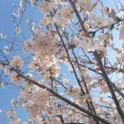 ヒメ日記 2026/03/27 19:54 投稿 つむぎ ビジョルナ（bijouluna）