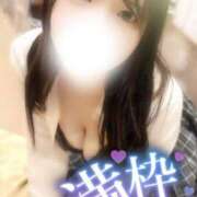 ヒメ日記 2025/05/07 16:27 投稿 かおる(マーメイドキス) 学園天国