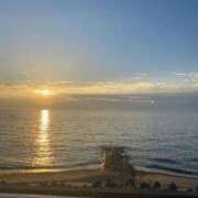 ヒメ日記 2025/06/06 01:24 投稿 スモモ ピンクコレクション大阪