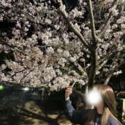 ヒメ日記 2025/06/08 17:01 投稿 スモモ ピンクコレクション大阪