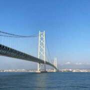 ヒメ日記 2025/06/14 01:31 投稿 スモモ ピンクコレクション大阪