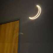 ヒメ日記 2025/06/27 04:01 投稿 スモモ ピンクコレクション大阪