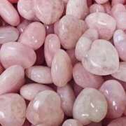 ヒメ日記 2025/07/03 00:01 投稿 スモモ ピンクコレクション大阪