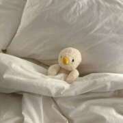 ヒメ日記 2025/07/16 04:41 投稿 スモモ ピンクコレクション大阪