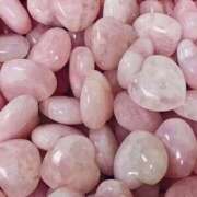 ヒメ日記 2025/07/23 00:02 投稿 スモモ ピンクコレクション大阪