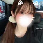 ヒメ日記 2025/07/23 17:41 投稿 スモモ ピンクコレクション大阪