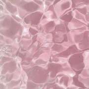 ヒメ日記 2025/07/23 21:01 投稿 スモモ ピンクコレクション大阪