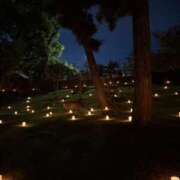 ヒメ日記 2025/08/15 18:00 投稿 スモモ ピンクコレクション大阪