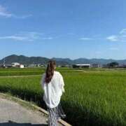 ヒメ日記 2025/08/22 21:28 投稿 スモモ ピンクコレクション大阪