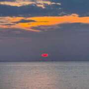 ヒメ日記 2025/08/24 00:04 投稿 スモモ ピンクコレクション大阪