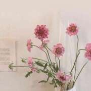 ヒメ日記 2025/09/06 23:01 投稿 スモモ ピンクコレクション大阪