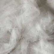 ヒメ日記 2025/10/23 01:11 投稿 スモモ ピンクコレクション大阪