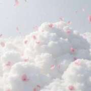 ヒメ日記 2025/10/30 01:31 投稿 スモモ ピンクコレクション大阪