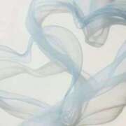 ヒメ日記 2025/11/04 03:27 投稿 スモモ ピンクコレクション大阪