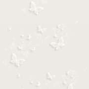 ヒメ日記 2025/11/14 16:21 投稿 スモモ ピンクコレクション大阪