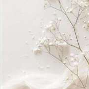 ヒメ日記 2025/11/19 22:31 投稿 スモモ ピンクコレクション大阪