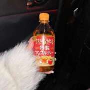 ヒメ日記 2025/11/22 23:04 投稿 スモモ ピンクコレクション大阪