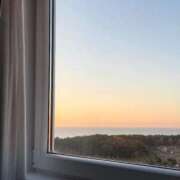 スモモ ご予約完売♡ ピンクコレクション大阪