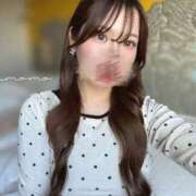 ヒメ日記 2025/12/14 22:51 投稿 スモモ ピンクコレクション大阪