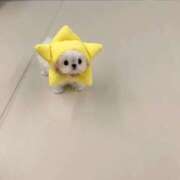 ヒメ日記 2026/01/13 21:01 投稿 スモモ ピンクコレクション大阪