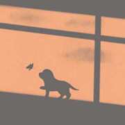 ヒメ日記 2026/01/21 23:54 投稿 スモモ ピンクコレクション大阪