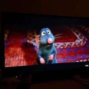 ヒメ日記 2026/02/22 01:31 投稿 スモモ ピンクコレクション大阪