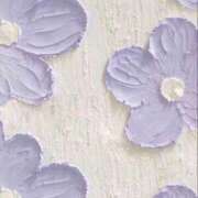 ヒメ日記 2025/07/18 16:26 投稿 スモモ ピンクコレクション大阪キタ店