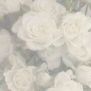 ヒメ日記 2025/08/28 00:49 投稿 スモモ ピンクコレクション大阪キタ店