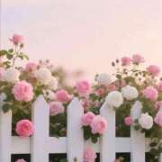 ヒメ日記 2025/09/10 00:19 投稿 スモモ ピンクコレクション大阪キタ店