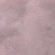 ヒメ日記 2025/09/22 20:50 投稿 スモモ ピンクコレクション大阪キタ店