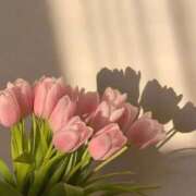 ヒメ日記 2025/12/09 03:39 投稿 スモモ ピンクコレクション大阪キタ店