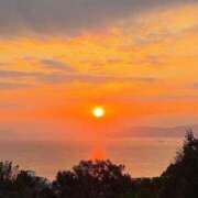 ヒメ日記 2026/01/04 12:09 投稿 スモモ ピンクコレクション大阪キタ店