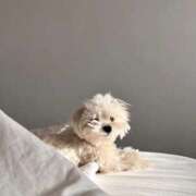 ヒメ日記 2026/01/07 22:09 投稿 スモモ ピンクコレクション大阪キタ店