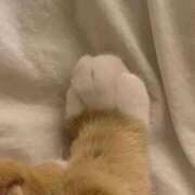 ヒメ日記 2026/01/12 03:59 投稿 スモモ ピンクコレクション大阪キタ店