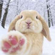 ヒメ日記 2026/01/19 02:23 投稿 スモモ ピンクコレクション大阪キタ店