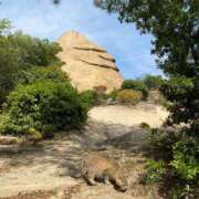 ヒメ日記 2025/07/03 23:15 投稿 スモモ ピンクコレクション尼崎店