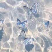 ヒメ日記 2025/07/08 23:46 投稿 スモモ ピンクコレクション尼崎店